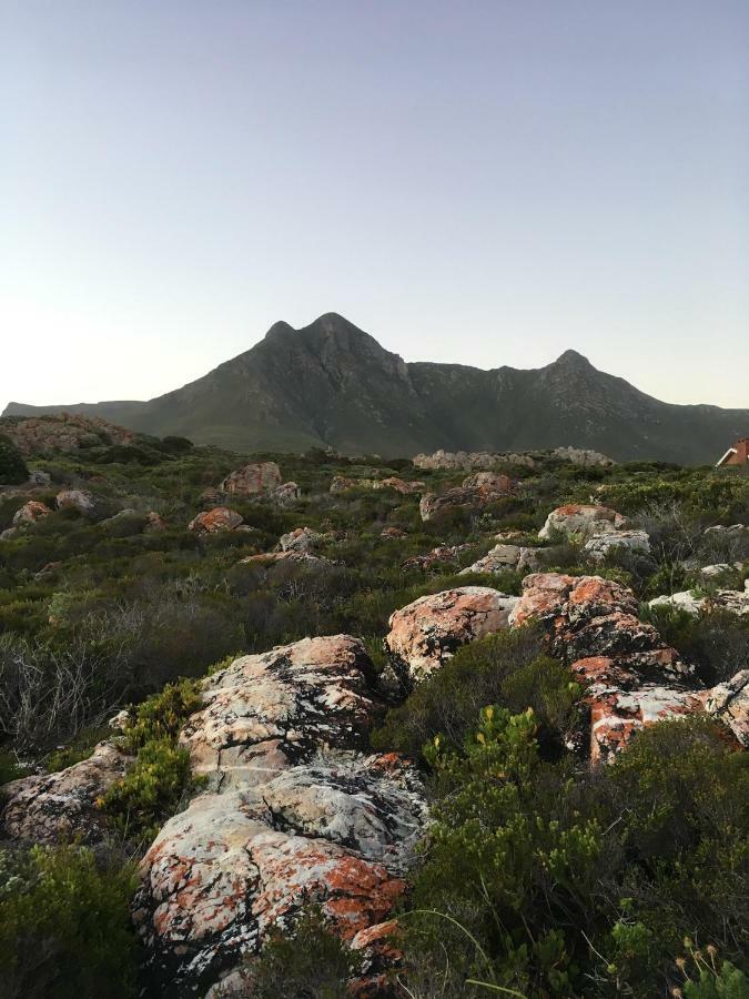 Rondawel With Sea View Apartment Kleinmond Luaran gambar
